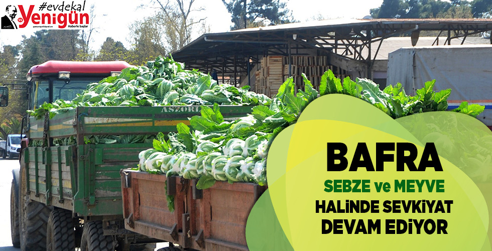 Bafra sebze ve meyve halinde sevkıyat devam ediyor