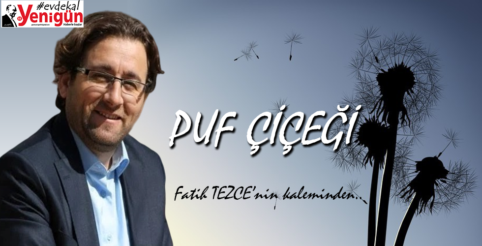 PUF ÇİÇEĞİ