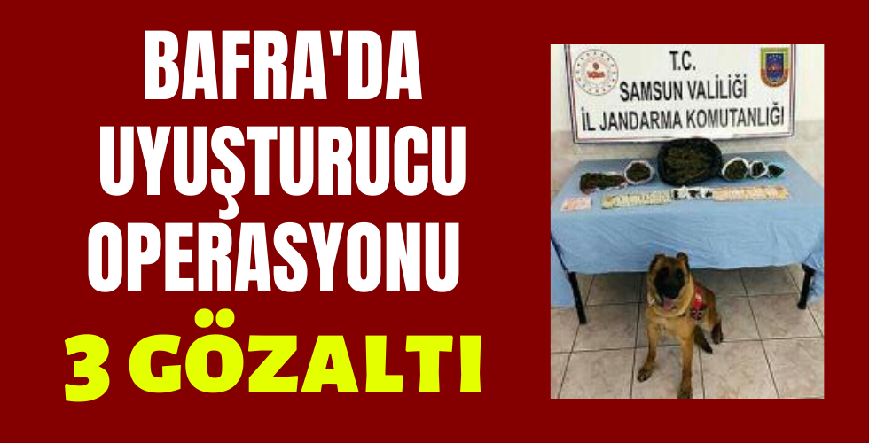 Bafra’da uyuşturucu operasyonu