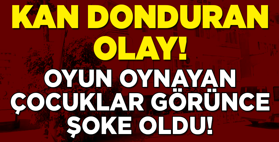 Kan donduran olay! Apartmanın bahçesinde oynayan çocuklar buldu!