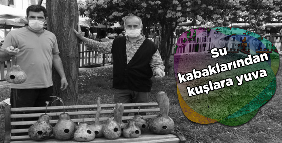 Su kabaklarından kuşlara yuva