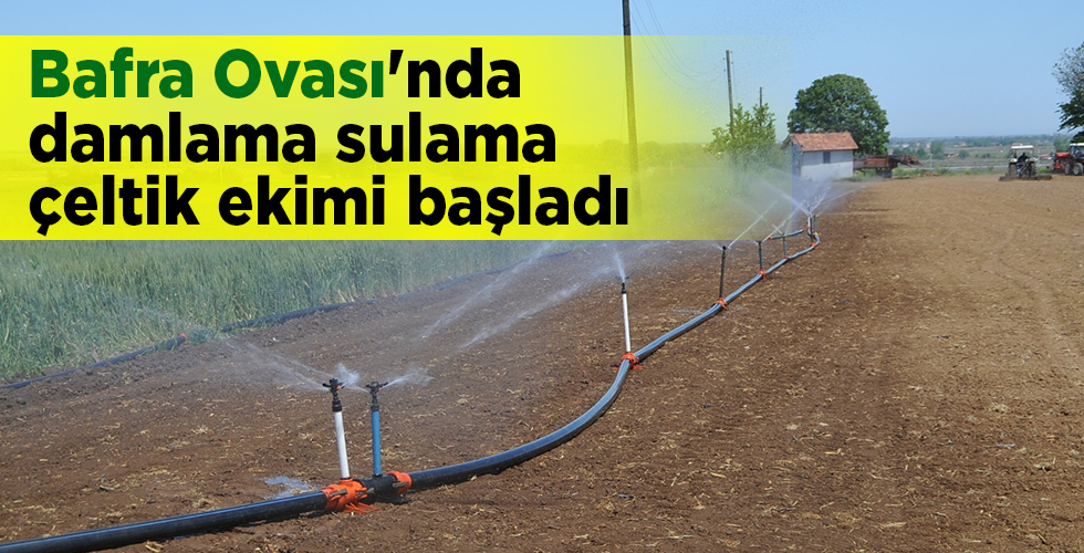 Bafra Ovası’nda damlama sulama çeltik ekimi başladı