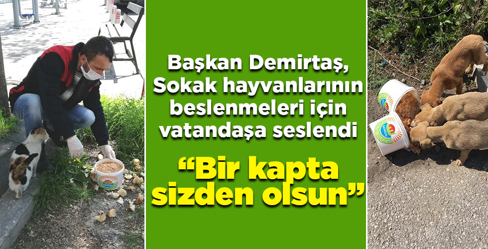 Demirtaş, Sokak hayvanlarının beslenmeleri için vatandaşa seslendi “Bir kapta sizden olsun”