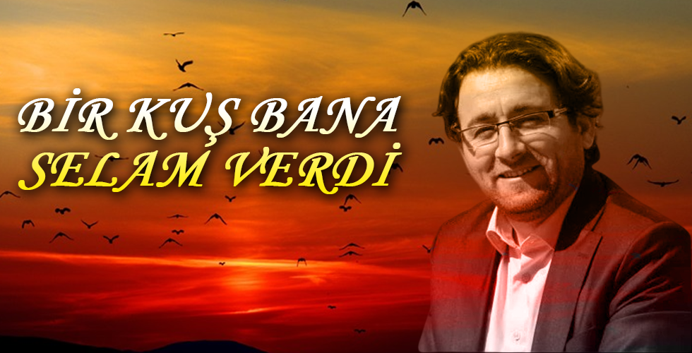 BİR KUŞ BANA SELAM VERDİ