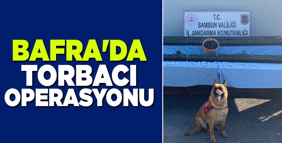 BAFRA’DA TORBACI OPERASYONU