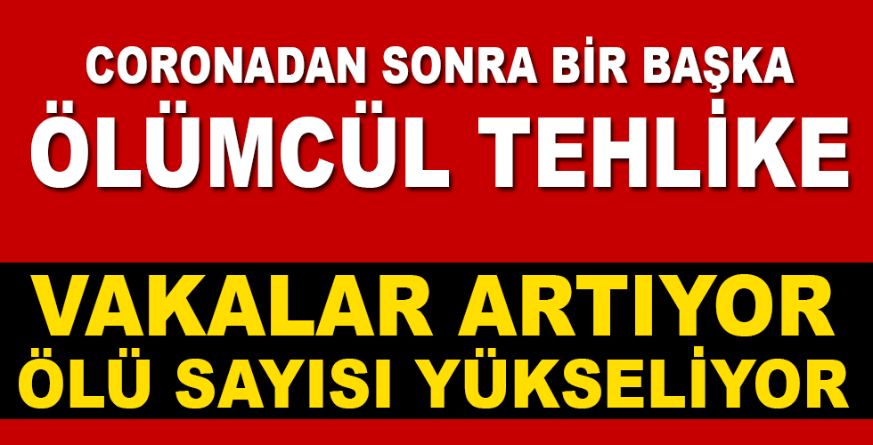Sağlık Bakanlığı’ndan Kırım Kongo Kanamalı Ateşi açıklaması: Vakalarda artış var