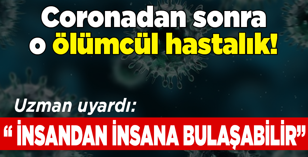 Uzman, KKKA hastalığına karşı uyardı: İnsandan insana bulaşabilir