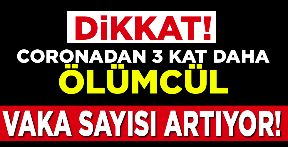 Kırım Kongo Kanamalı Ateşi vakaları Türkiye’de hızla artıyor!