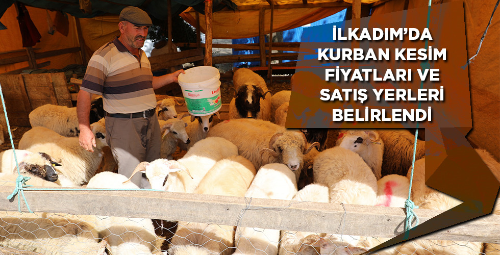 İLKADIM’DA KURBAN KESİM FİYATLARI VE SATIŞ YERLERİ BELİRLENDİ
