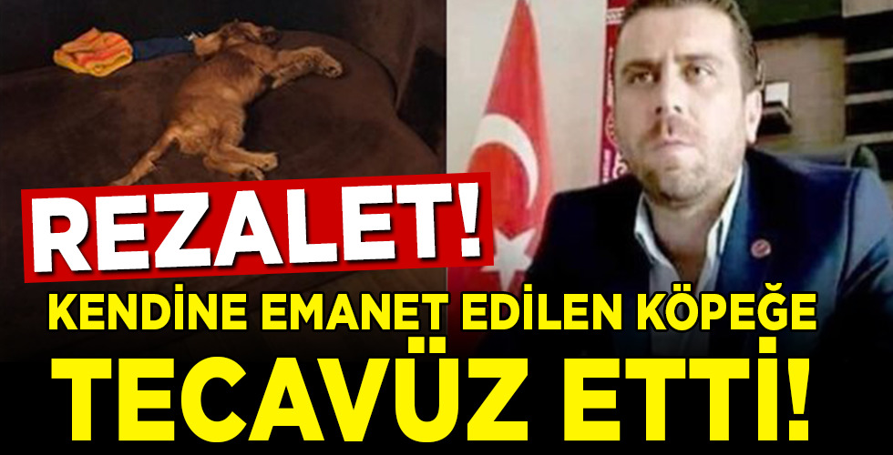 Köpeğe tecavüz ederek ölümüne neden olan erkek serbest bırakıldı