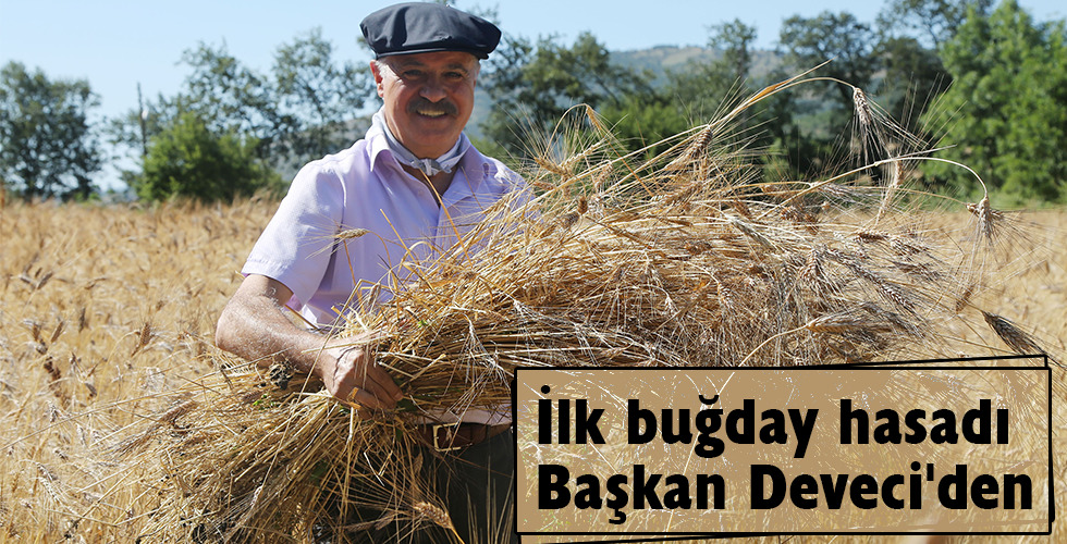 Karakılçık üretim sahasında ilk hasadı Başkan Cemil Deveci yaptı