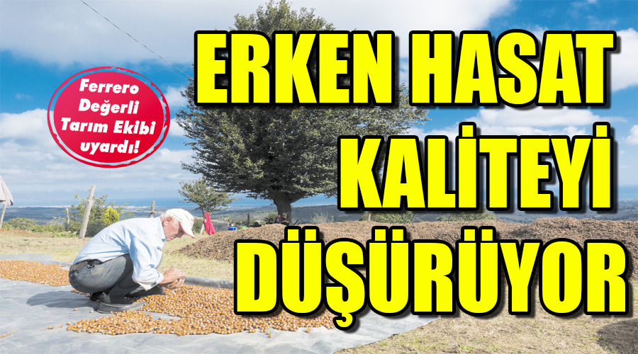 Yerden toplama ürün kalitesini de yükseltiyor