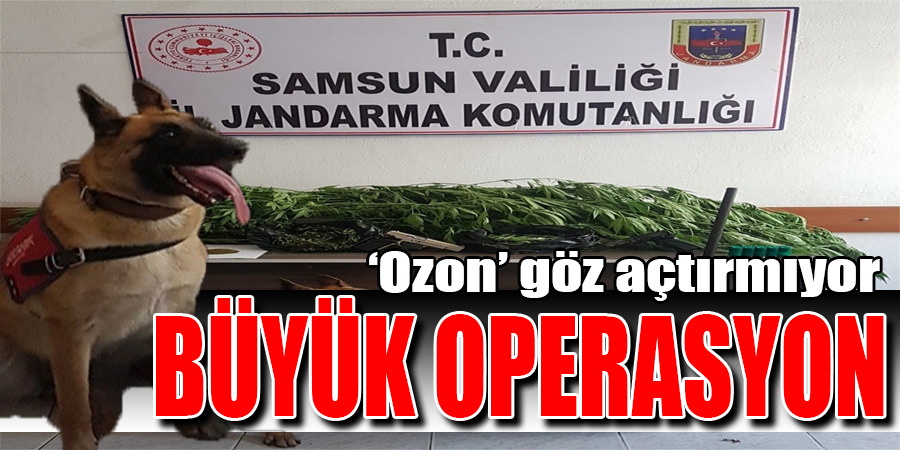 Samsun’da 55 kilo kubar esrar ele geçirildi