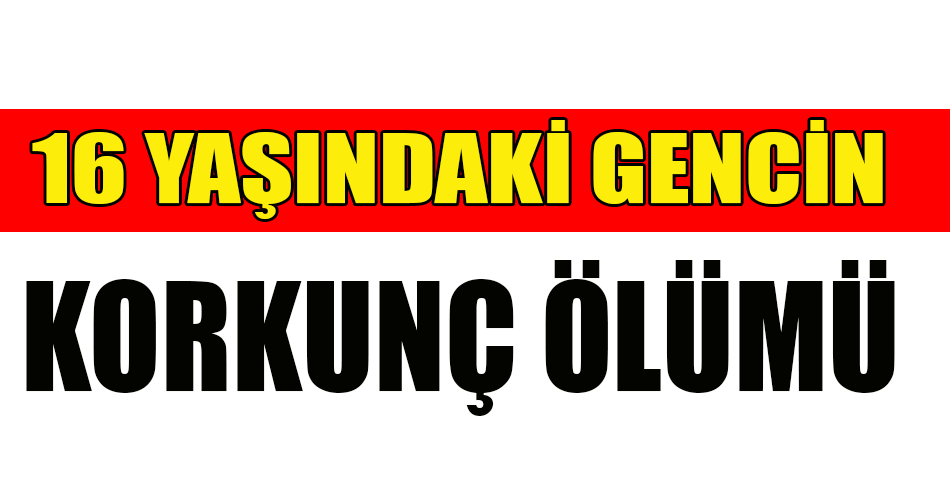 16 yaşındaki genç günlerce oyun oynadı, hayatını kaybetti!