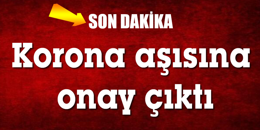 Corona virüsü aşısına onay çıktı