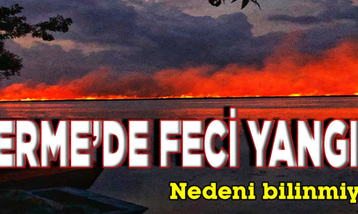 Terme’de sazlık yangını
