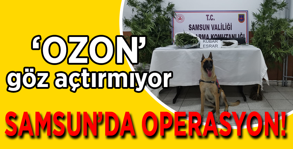 Jandarmadan uyuşturucu operasyonu