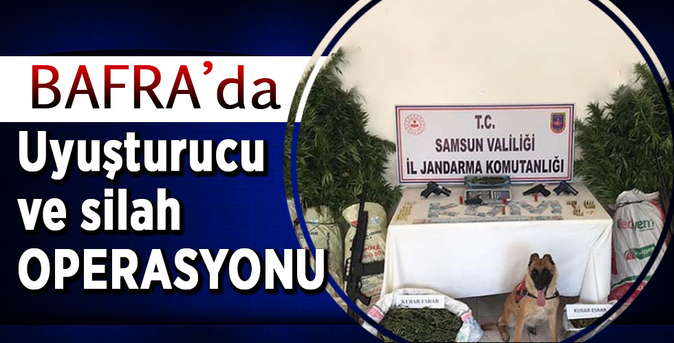 Bafra’da jandarma ekipleri uyuşturucu ve silah ele geçirdi
