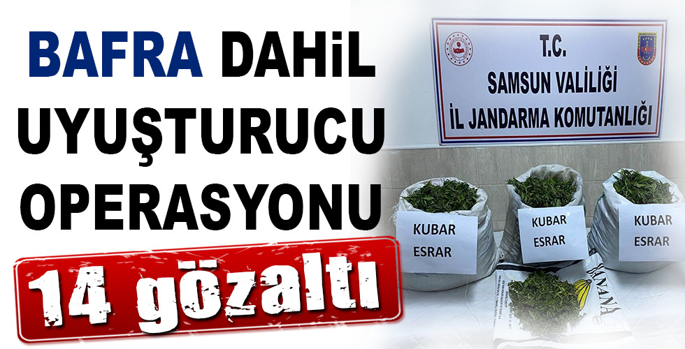 Samsun’da 147 kilo esrar ele geçirildi, 14 kişi gözaltına alındı