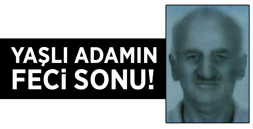 Üzerine ağaç düşen şahıs hayatını kaybetti