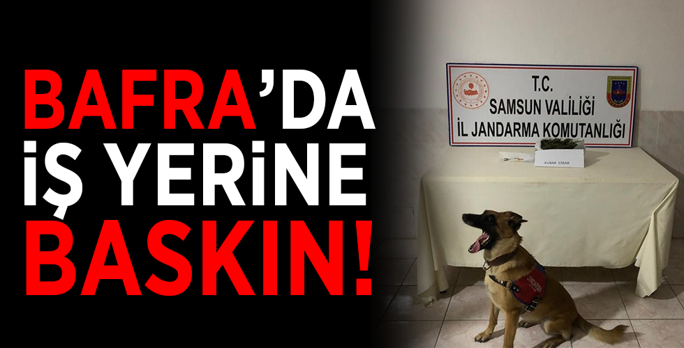 Bafra’da kubar esrar ele geçirildi