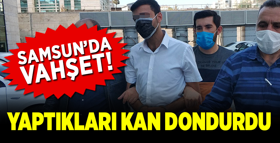  Köpeği öldürüp, sahibini bıçakladı