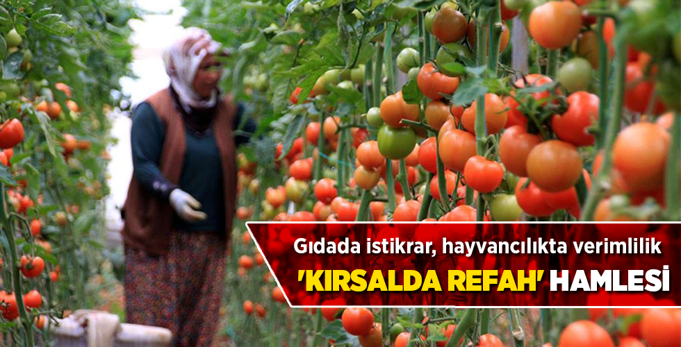Gıdada istikrar, hayvancılıkta verimlilik ‘KIRSALDA REFAH’ HAMLESİ