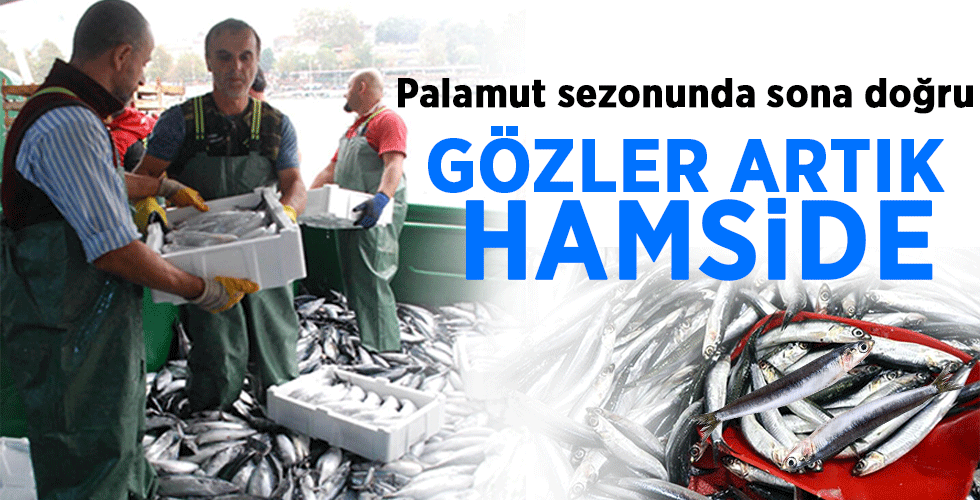 Palamut sezonunun sonuna geliniyor GÖZLER ARTIK HAMSİDE