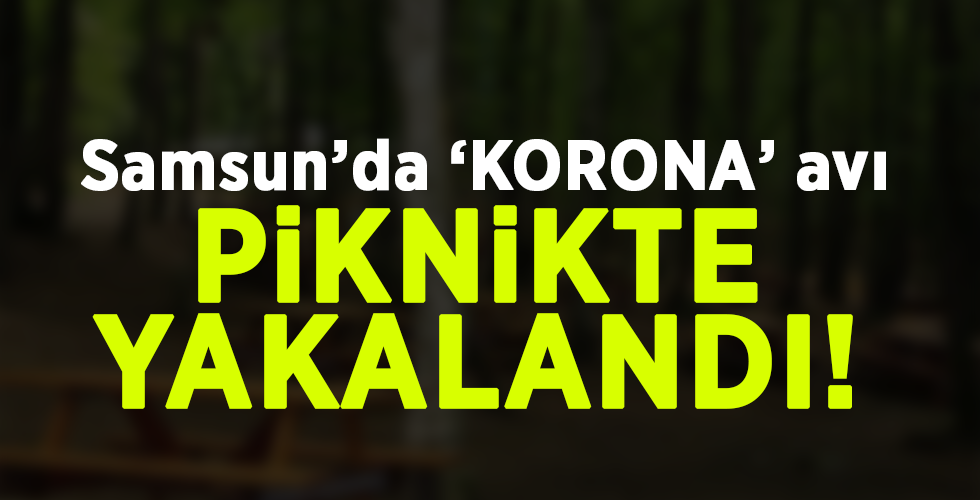 Evde olması gereken korona hastası piknik alanında yakalandı