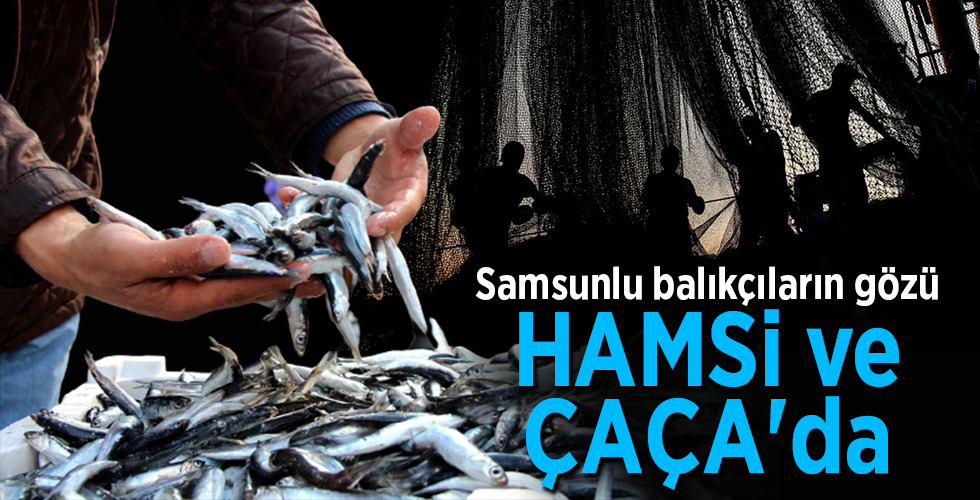 Samsunlu balıkçıların gözü HAMSİ ve ÇAÇA’da