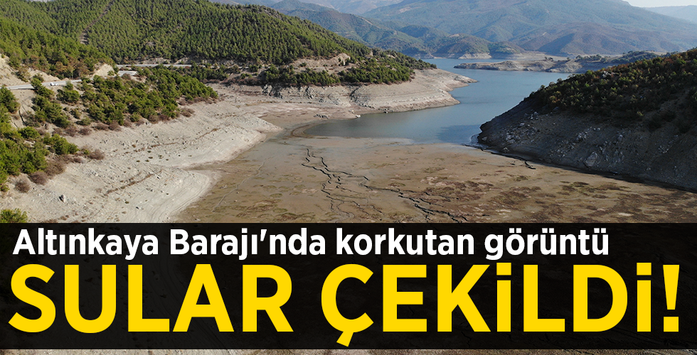 Altınkaya Barajı’nda korkutan görüntü