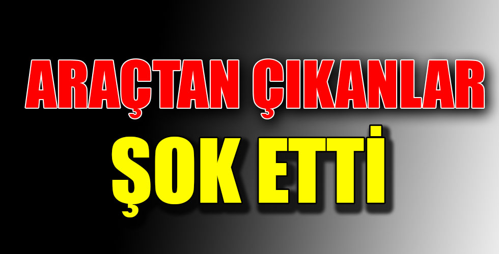 ARAÇTAN ÇIKANLAR ŞOK ETTİ