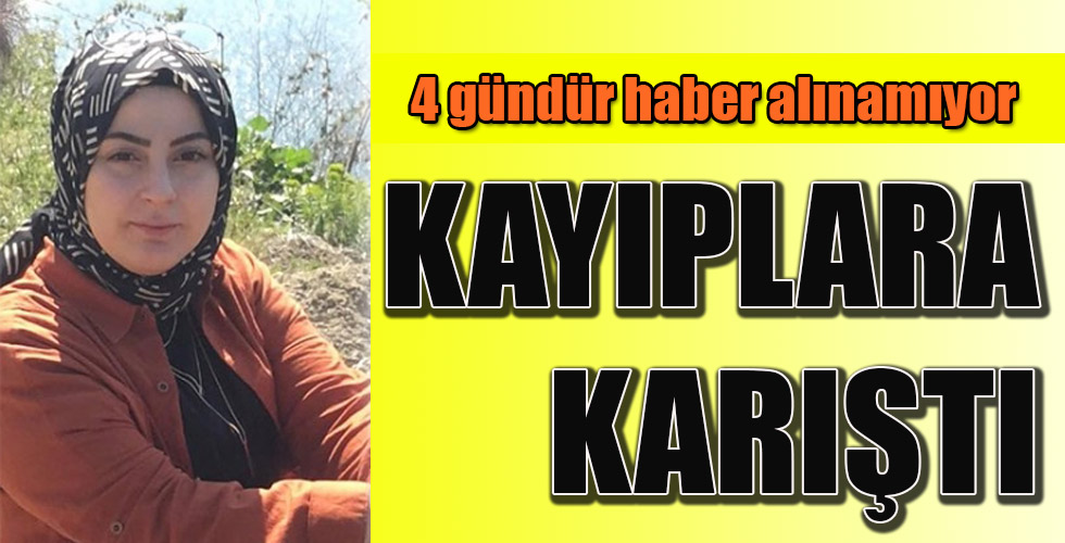 KAYIPLARA KARIŞTI