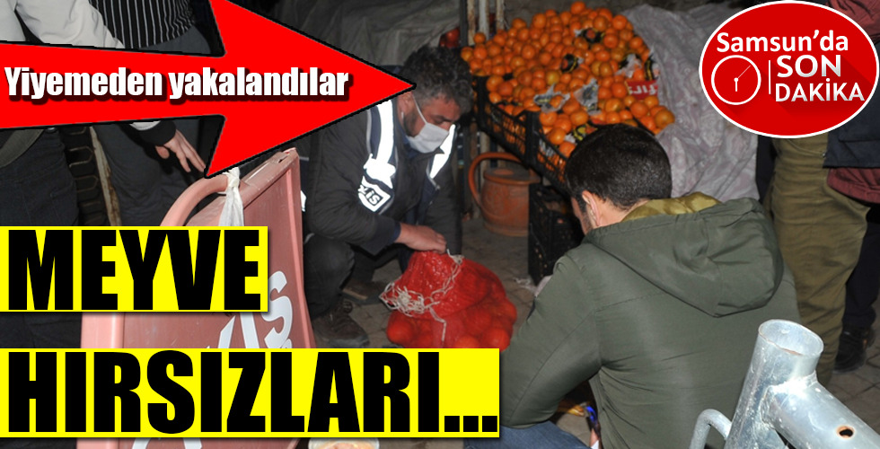 MEYVE HIRSIZLARI…