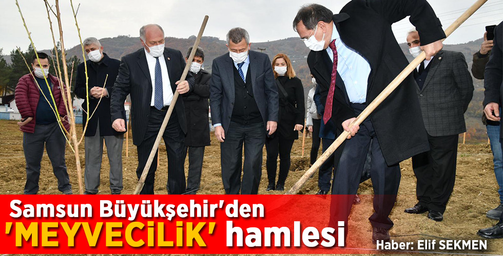 Samsun Büyükşehir’den ‘MEYVECİLİK’ hamlesi