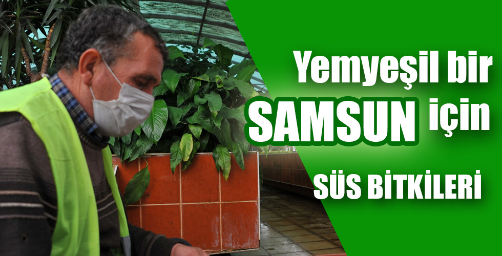 SÜS BİTKİLERİ