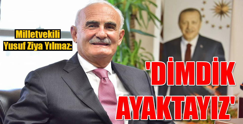 ‘DİMDİK AYAKTAYIZ’