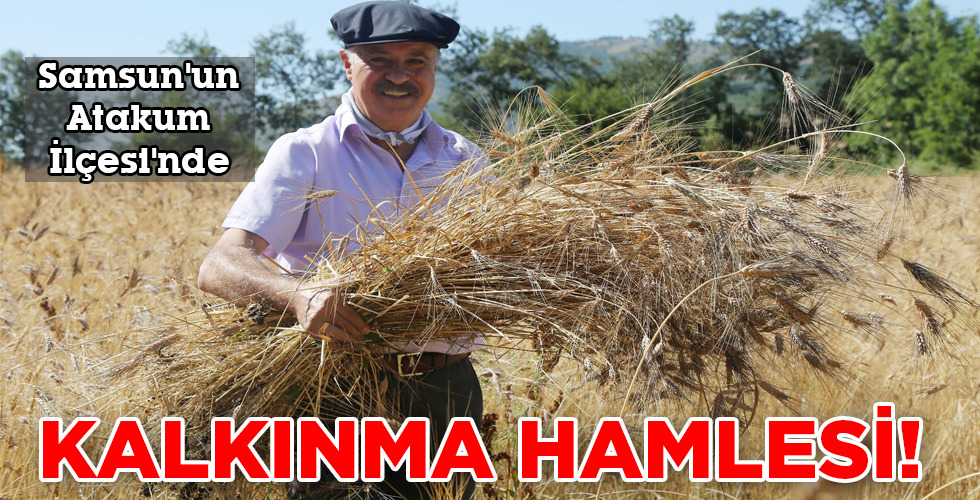KALKINMA HAMLESİ!