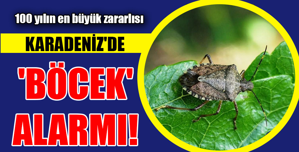‘BÖCEK’ ALARMI!