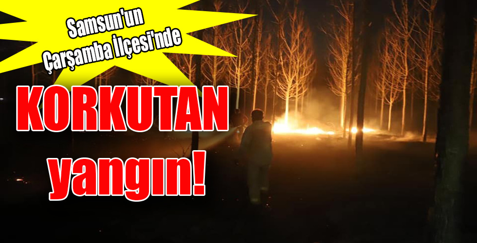 Samsun’un Çarşamba İlçesi’nde  KORKUTAN yangın!