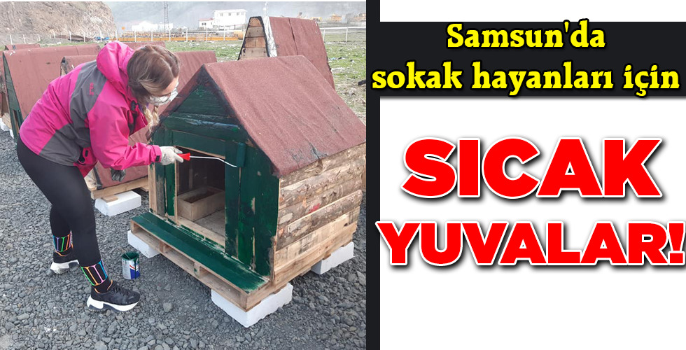SICAK YUVALAR!