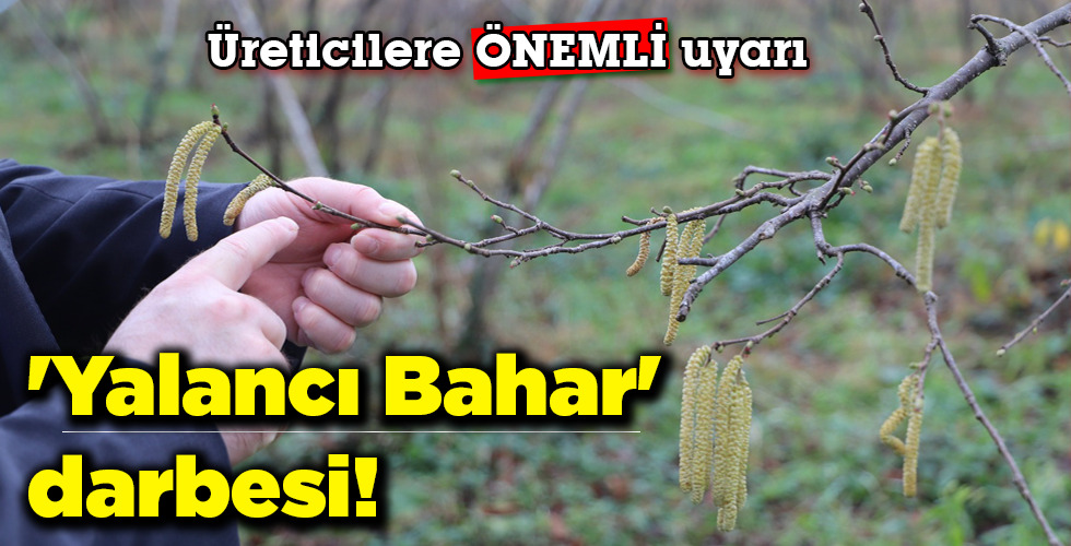 ‘Yalancı Bahar’ darbesi!