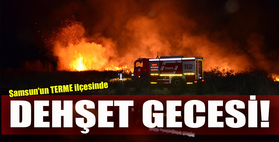 Samsun’un TERME ilçesinde  DEHŞET GECESİ!