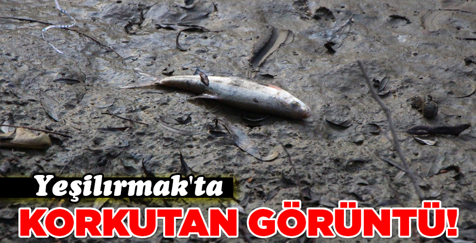 KORKUTAN GÖRÜNTÜ!