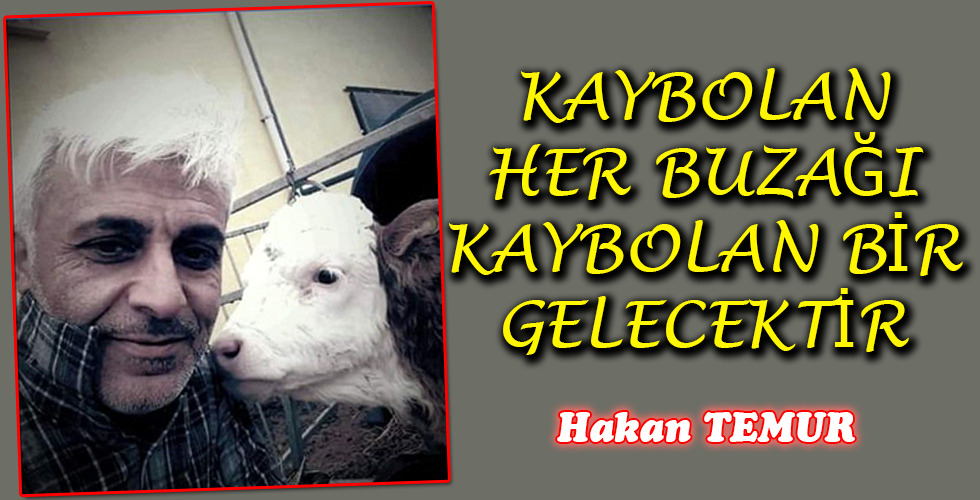 KAYBOLAN HER BUZAĞI KAYBOLAN BİR GELECEKTİR