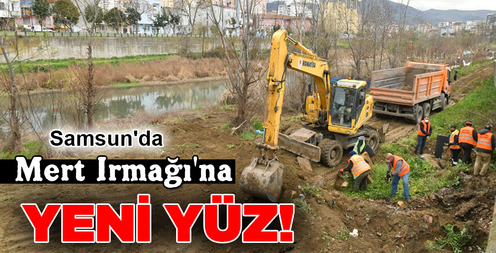 YENİ YÜZ!