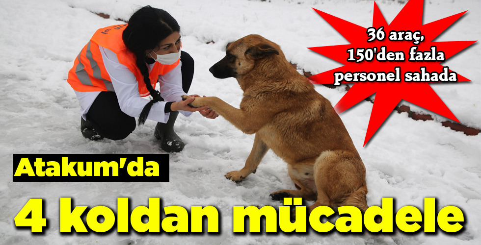 Atakum’da 4 koldan mücadele