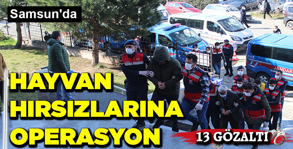 HAYVAN HIRSAIZLARINA OPERASYON
