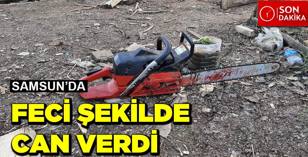 CAN VERDİ