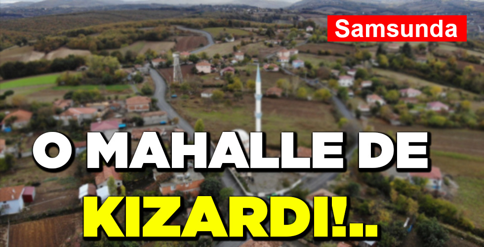 O MAHALLE DE KIZARDI!..